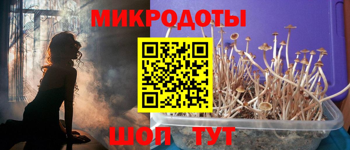 Псилоцибиновые грибы прущие грибы  Псилоцибиновые грибы GOLDEN TEACHER  Славянск-на-Кубани  Вход с VPN 